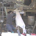007 IMG  179059510